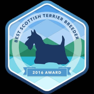 2016-scottish-terrier.jpg
