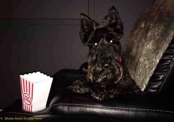 bella2014082701.jpg