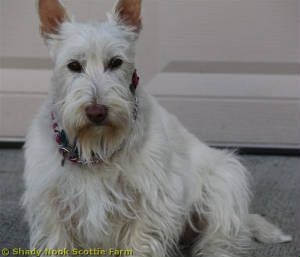belle20101018.jpg