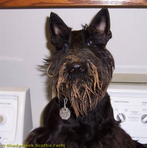 duncan2010081501.jpg