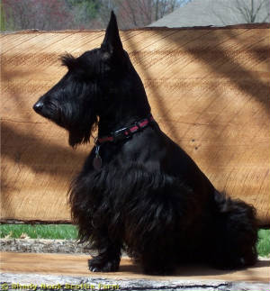 duncan2010081503.jpg