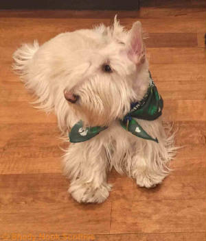 finley201703701.jpg