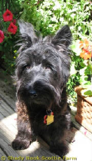 franklin2011080504.jpg