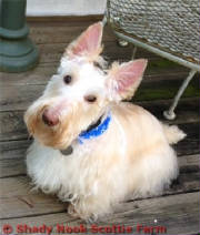 griffin2013071701.jpg