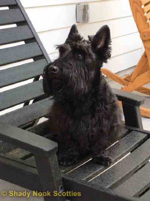 griffin20180701.jpg