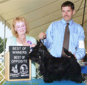 maddee20110903.jpg