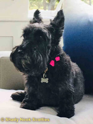 maggie2018112101.jpg