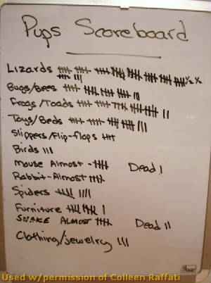 scottiescoreboard.jpg