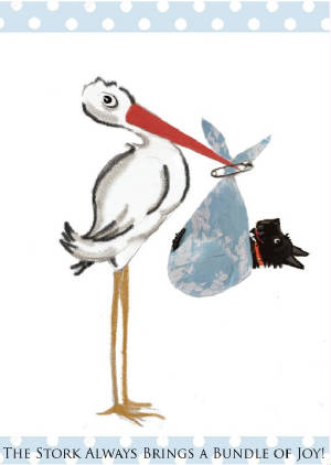 scottiestork.jpg