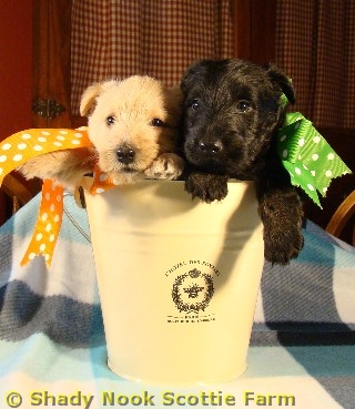 2boys2010040804.jpg