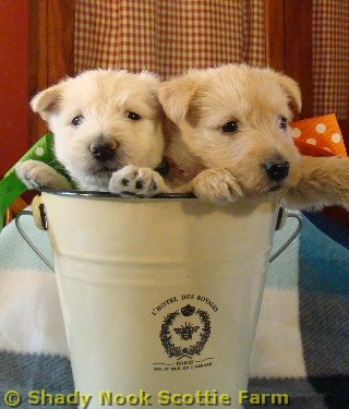 2boys2010040815.jpg