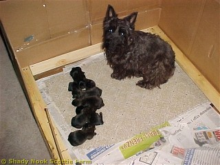 3days_old01.jpg
