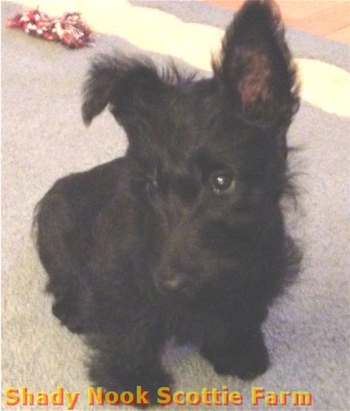 baxter2012103001.jpg