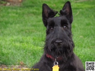 baxter2013042701.jpg
