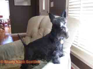 baxter2016030102.jpg