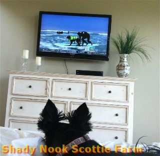 bella2012070301.jpg