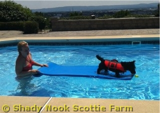 brodie2011081401.jpg