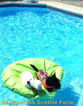 brodie2012070201.jpg