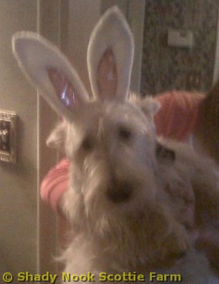 dexter2011042701.jpg