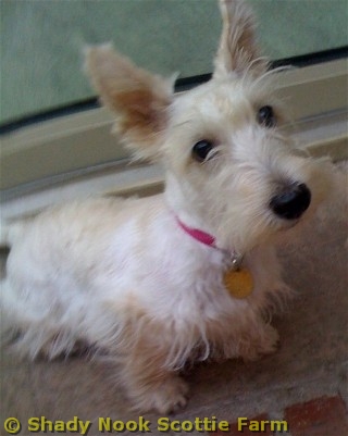 dilly20110210.jpg