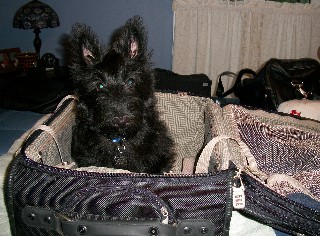 dudley20100515.jpg