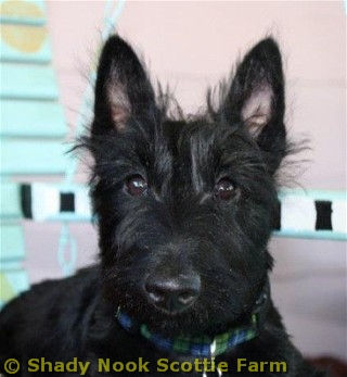 duff2011091101.jpg
