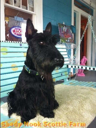 duff2012060401.jpg