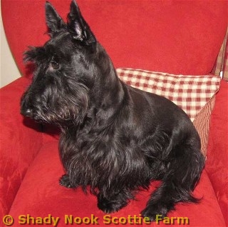 dugan2011050901.jpg