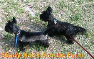duncanfia2012032302.jpg