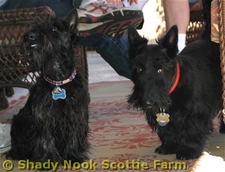 duncanmaizie20110401.jpg