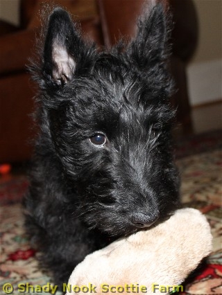 fletcher20100516.jpg