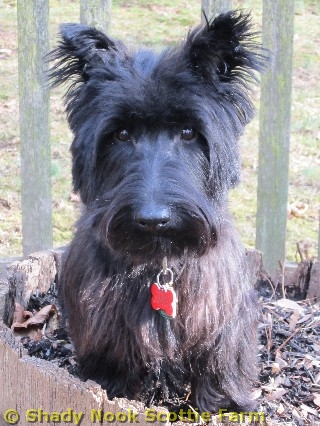 franklin20120112.jpg