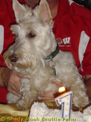 gorby2011112102.jpg