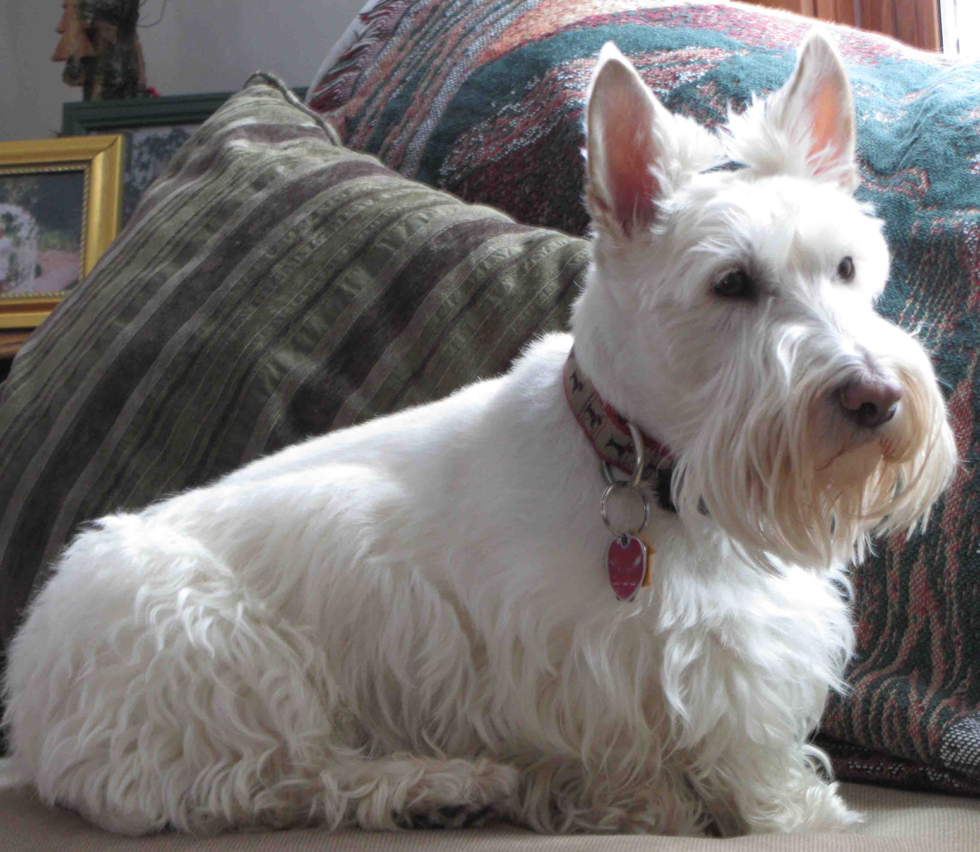 gorby2014081702.jpg