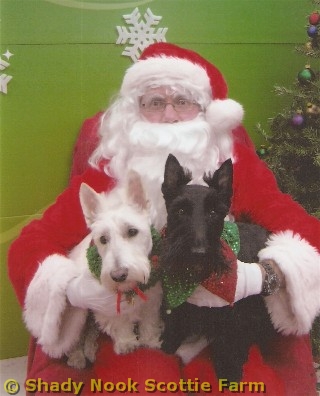 gorbygus2011122001.jpg