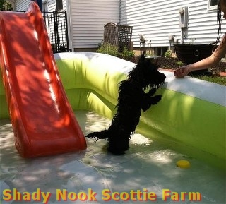 gracie2012062001.jpg