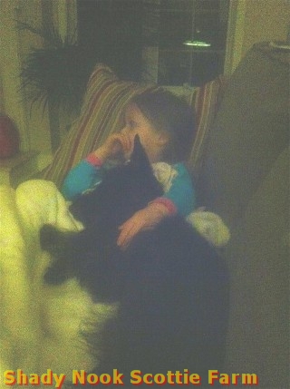 gracie2012110401.jpg