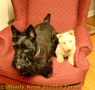 griff_larkin2011020702.jpg