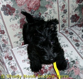 gus2012010901.jpg