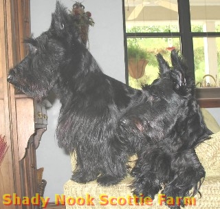 indylucy2012100701.jpg