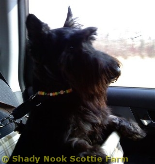 jack2010121501.jpg
