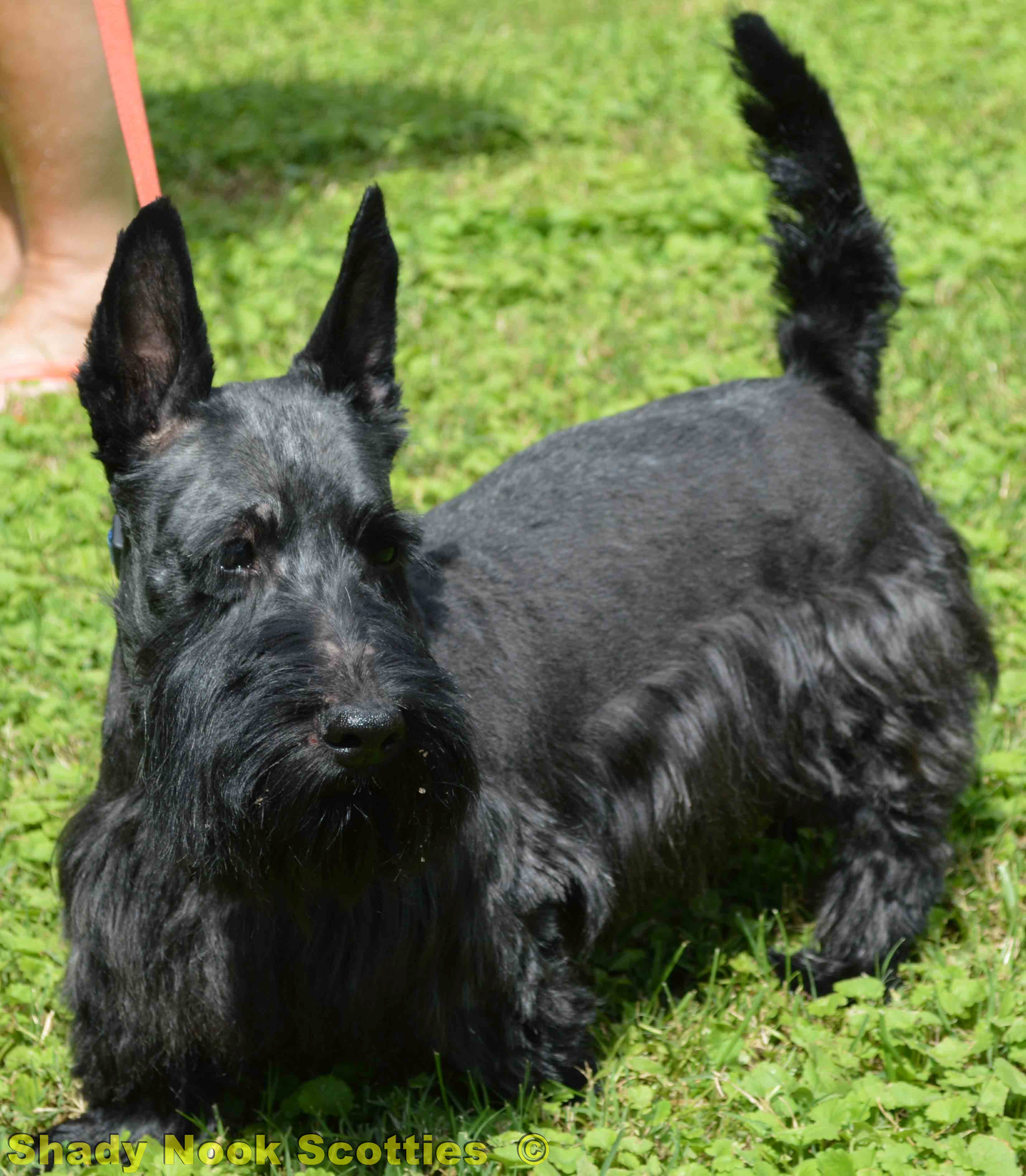krus2015082508x.jpg