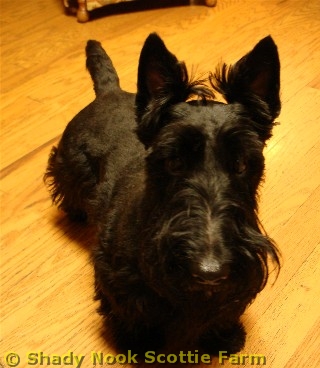 larkin2011020701.jpg