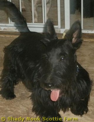 logan2010052802.jpg
