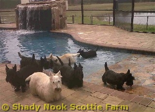 lucy2011051901.jpg