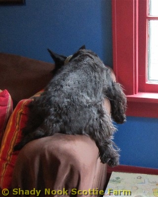 macduff2011042301.jpg