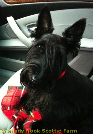 macduff20111115.jpg