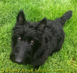 mackenzie2011051801.jpg