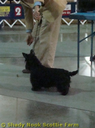maddee2011031207.jpg