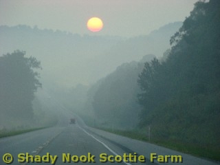 maddee2011090301.jpg